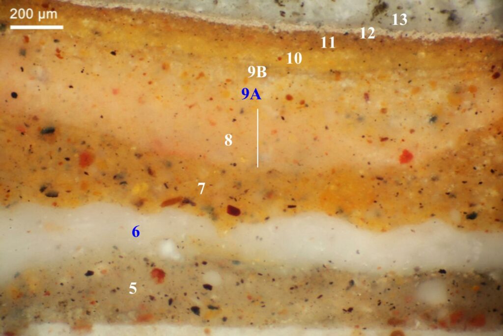 analisi stratigrafica in sezione lucida